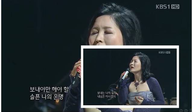 결혼 후엔 가수보다는 평범한 주부로 살았지만 음악과 완전히 거리를 두지는 않았다. 대학가요제 출신 선후배들이 주도하는 음악회나 기념공연에는 꾸준히 참여했기 때문이다./KBS