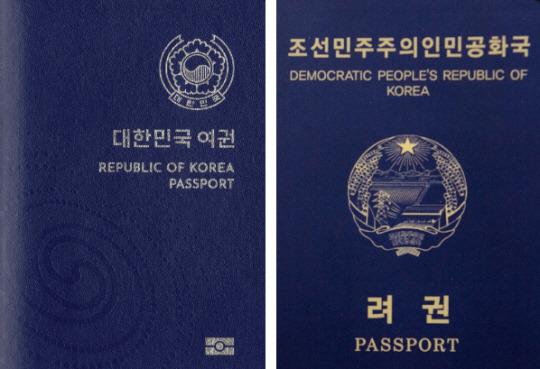 아톤 캐피탈 ‘여권 지수’(Passport Index) 웹사이트 캡처