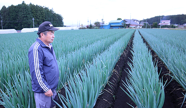 일본 도치기현 나스지역에서 논 대파를 재배하는 무라카미 가츠노리씨가 대파의 생육상태를 살펴보고 있다.