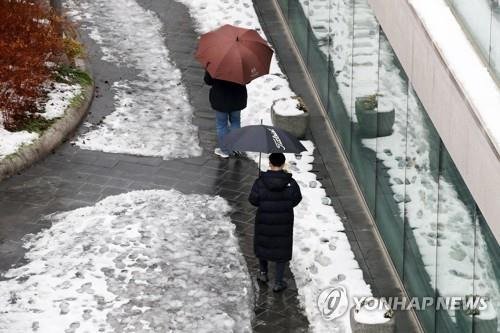 겨울비 [연합뉴스 자료사진]