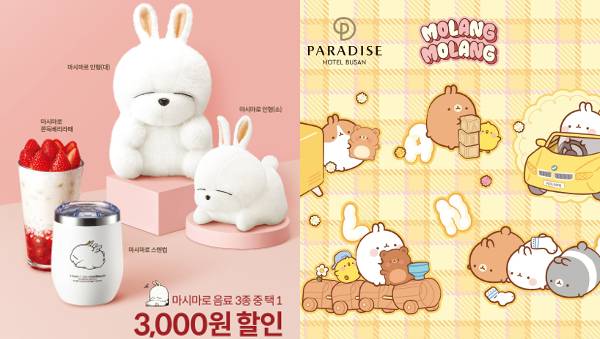 엔제리너스(왼쪽)와 파라다이스 호텔 몰랑이.