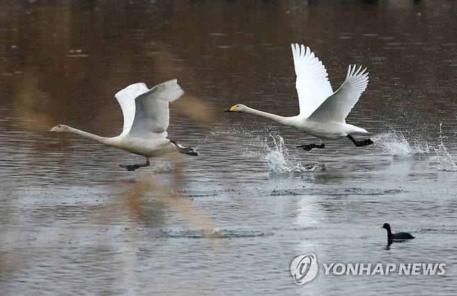 날씨] 맑고 평년보다 포근…서울·경기 미세먼지 '나쁨'