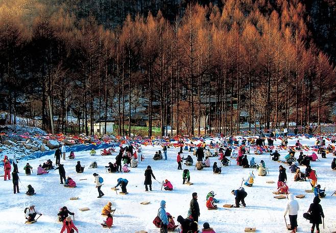 태백산 눈축제 [태백시 제공.재판매 및 DB 금지]