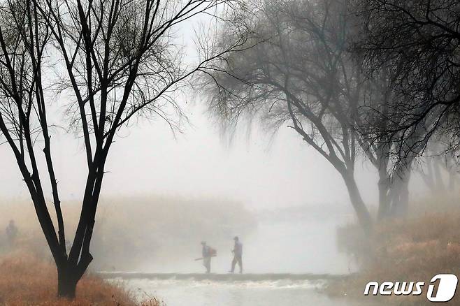 겨울비가 내리고 소강상태를 보인 13일 오후 서울 서초구 양재천에 안개가 짙게 끼어있다. 2023.1.13/뉴스1 ⓒ News1 황기선 기자