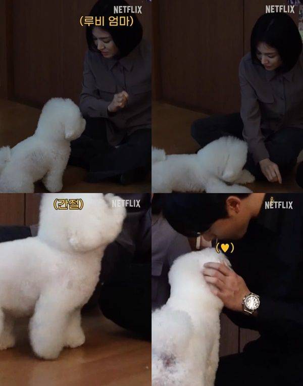 더 글로리 송혜교 이도현 / 사진=넷플릭스코리아 SNS 캡처