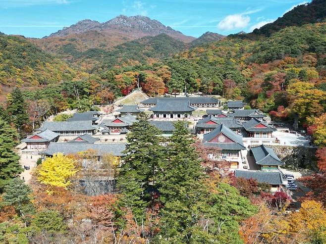 합천 해인사 *재판매 및 DB 금지