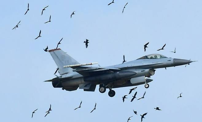 지난 2021년 10월 5일 오후 3시12분쯤 F16 전투기가 훈련을 마치고 전북 군산공항 활주로에 착륙하기 위해 저공비행하고 있다. 새만금시민생태조사단 제공