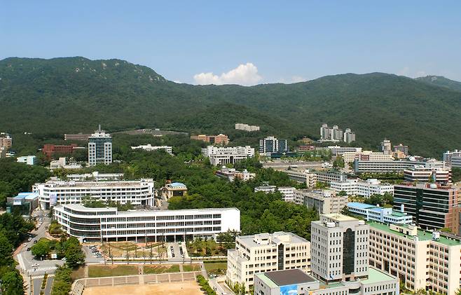 부산 장전동 부산대의 전경. /조선DB