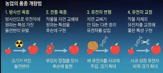유전자 변형과 유전자 편집의 기술적 차이를 보여주는 그래픽. /조선DB