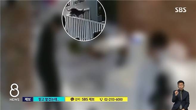 업체 내부 CCTV에 찍힌 실종 당시 상황. 검은색 치와와가 강아지용 울타리를 뛰어 넘고 있다. /SBS