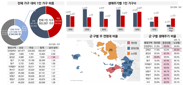 인천시 1인 가구 빅데이터 분석사업 분석. 자료제공=인천시