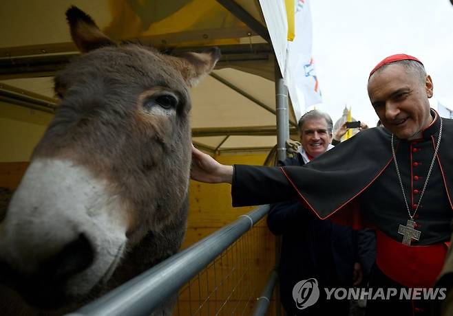 "신의 축복을" (바티칸 EPA=연합뉴스) 마우로 감베티(오른쪽) 추기경이 17일(현지시간) 동물 수호성인 축일을 맞아 성 베드로 광장에 있는 당나귀를 축복하고 있다. 2023.01.17 photo@yna.co.kr