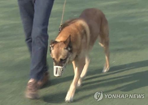 반려견 이동장치에 잠금장치...'개물림 사고 막는다'