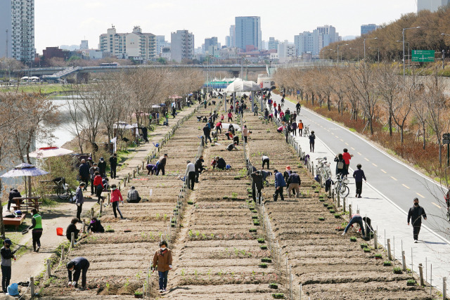 중랑천 도시농업 체험 학습장. 사진 제공=동대문구