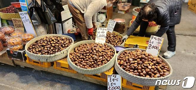 20일 서울 동대문구 경동시장에서 상인들이 햇밤을 정리하고 있다. ⓒ 뉴스1 김예원 기자