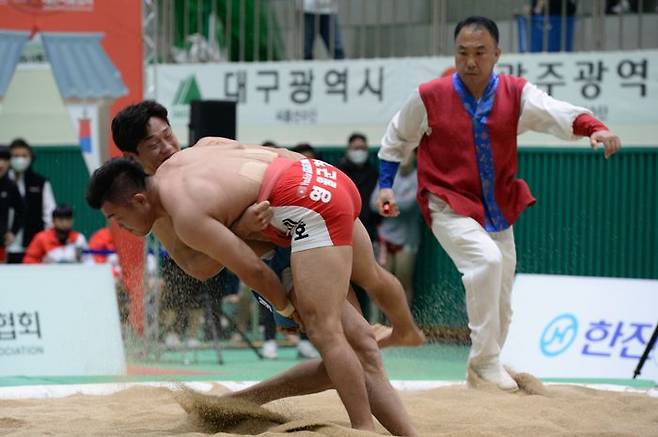 전통의 민속 스포츠 씨름은 이번 설에도 펼쳐진다.(자료사진) ⓒ 뉴시스