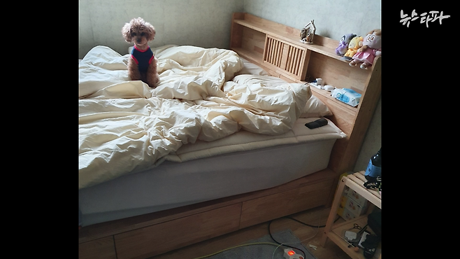 류영 씨가 쓰던 침대와 류영 씨가 키우던 강아지. 엄마는 딸이 떠난 후 자신이 쓰던 침대를 버리고, 딸이 쓰던 침대를 사용하고 있다.