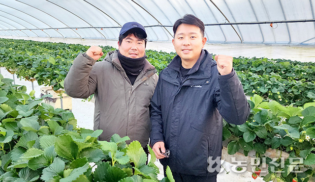 충남 홍성군 갈산면의 농업회사법인 헤테로의 최이영 대표(왼쪽)와 곽창순 최고기술책임자가 일본 품종을 능가하는 딸기 육성을 위해 더욱 매진할 것을 다짐하고 있다.