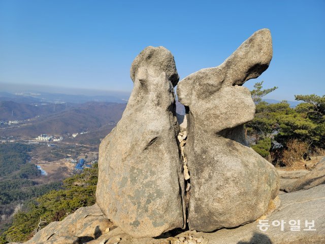 의상봉 쌍토끼 바위. 전승훈 기자