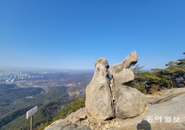 의상봉 쌍토끼 바위. 전승훈 기자