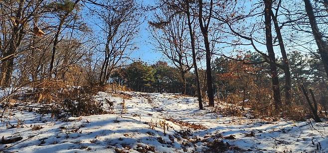 [안성=뉴시스] 이병희 기자 = 안성시 대덕면 토현리. 마을 뒷산이 토끼처럼 생겼고, 이 산 뒷마을로 통하는 고개가 있다고 해서 '토고개', '토현'이라고 한다. 2023.01.22. iambh@newsis.com *재판매 및 DB 금지