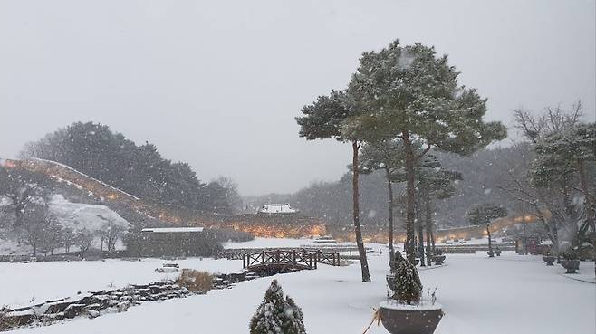 24일 전북 지역 곳곳에 대설주의보가 발효된 가운데 전북 고창읍성 일원에 눈이 내리고 있다. 뉴스1