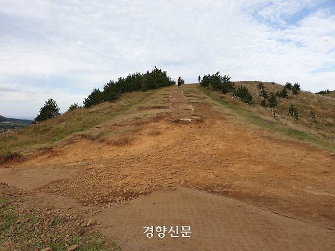 많은 관광객이 몰리면서 탐방로가 크게 훼손돼 자연휴식년제 적용을 받은 용눈이 오름. 박미라 기자