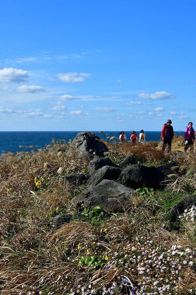 마라도 해안산책로.