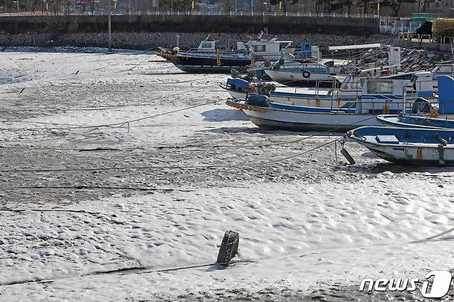 인천 중구 예단포선착장에 얼음이 얼어 있다./뉴스1 ⓒ News1 조태형 기자