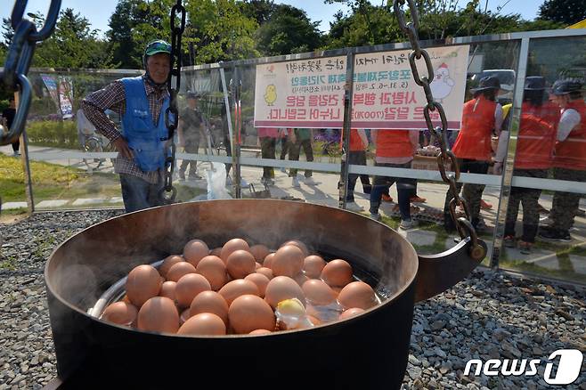 31일 오후 경북 포항시 남구 대이동 철길 숲 불의 공원에서 포항 장미 사랑회원들이 천연가스로 계란을 삶고 있다. (자료 사진) 2019.5.31/뉴스1 ⓒ News1 최창호 기자