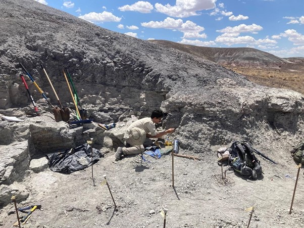미국 버지니아공대 연구팀이 석화림 국립공원에서 화석을 발굴하고 있다. Ben T. Kligman 제공