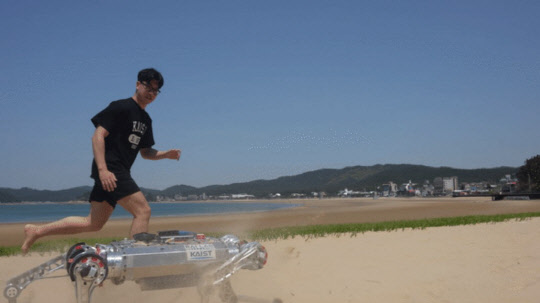 KAIST가 해변 모래사장에서 최대 초속 3m 속도로 보행할 수 있는 사족로봇을 선보였다. 사진은 학습 기반 제어기술을 적용한 KAIST의 사족 로봇 '라이보'가 모래사장을 빠른 속도로 달리는 모습. KAIST 제공