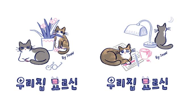 우리집 묘르신 타이틀 이미지는 고양이 미유를 보내기 전(왼쪽)과 후로 나뉜다. 순 작가 제공