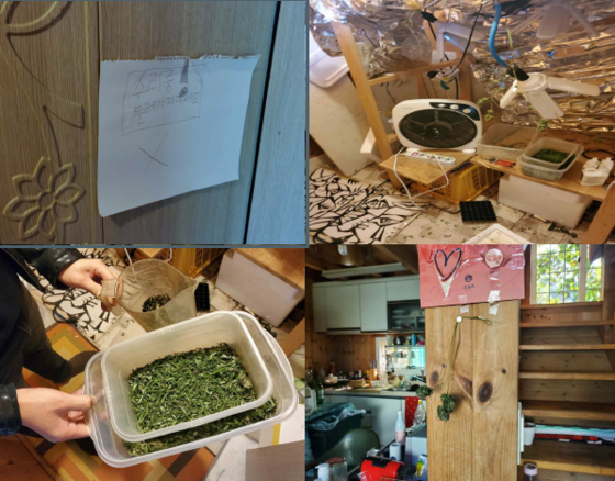 Photos taken by the prosecution after raiding the home of one of the 17 individuals accused of using or supplying marijuana. [SEOUL CENTRAL DISTRICT PROSECUTORS' OFFICE]