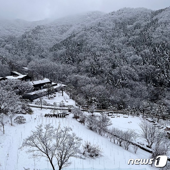 강원 홍천 소재 선마을 리조트의 겨울 전경.(선마을 제공) 2023.1.27/뉴스1