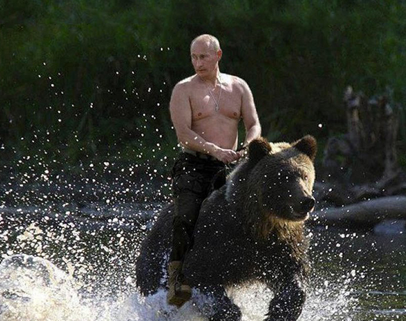 곰 타는 푸틴 러시아 대통령