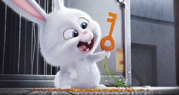 영화 '마이펫의 이중생활' 스노우 볼! 사진 일루미네이션 앤터테인먼트