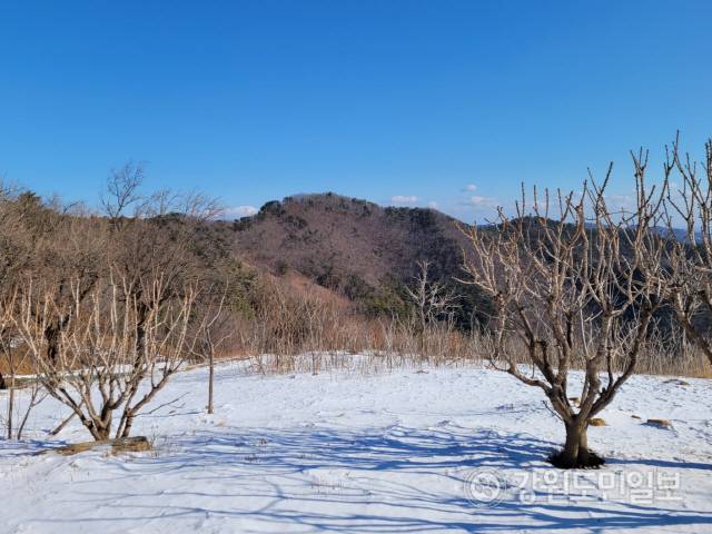 ▲ 동해시 이기동 달반니산에서 바라본 달방동 송미산 모습.