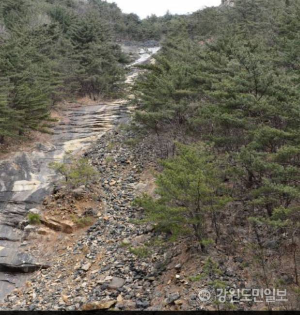 ▲ 동해시 이기동 더받이령(이기령) 인근 산기슭 모습.