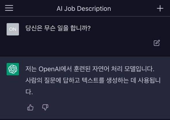 ▲한국어로 챗GPT가 하는 일을 묻자 이런 답변이 나왔다. ⓒ프레시안(전홍기혜)