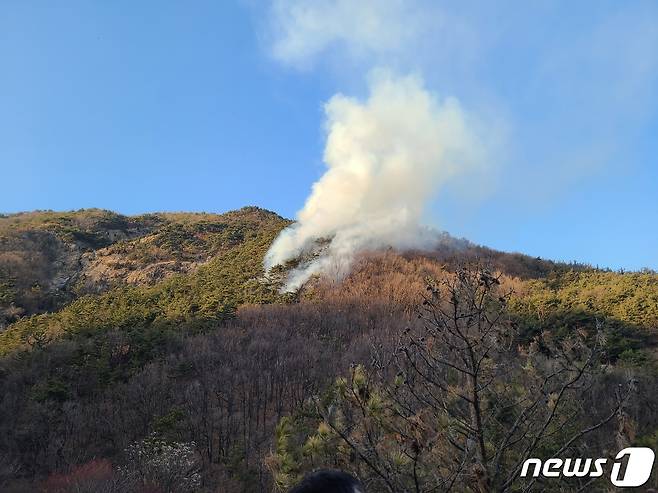 1일 오후 4시19분께 대전 유성구 갑동 야산에서 화재가 발생했다. (산림청 제공)/뉴스1