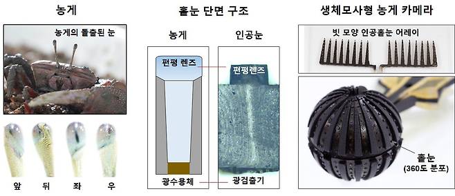 송영민 GIST 교수 연구팀이 만든 광각카메라의 구조. /과기정통부