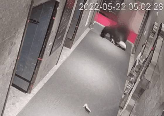 지난해 발생한 '부산 서면 돌려차기 사건' 당시 CCTV 원본 영상이 공개됐다. JTBC '사건반장' 캡처