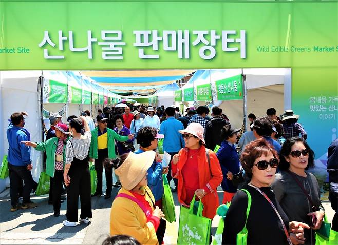 영양산나물축제 산나물 판매장터./사진제공=영양군