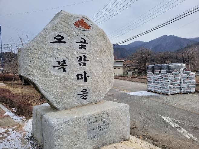곶감마을. 조경아 해설사 제공