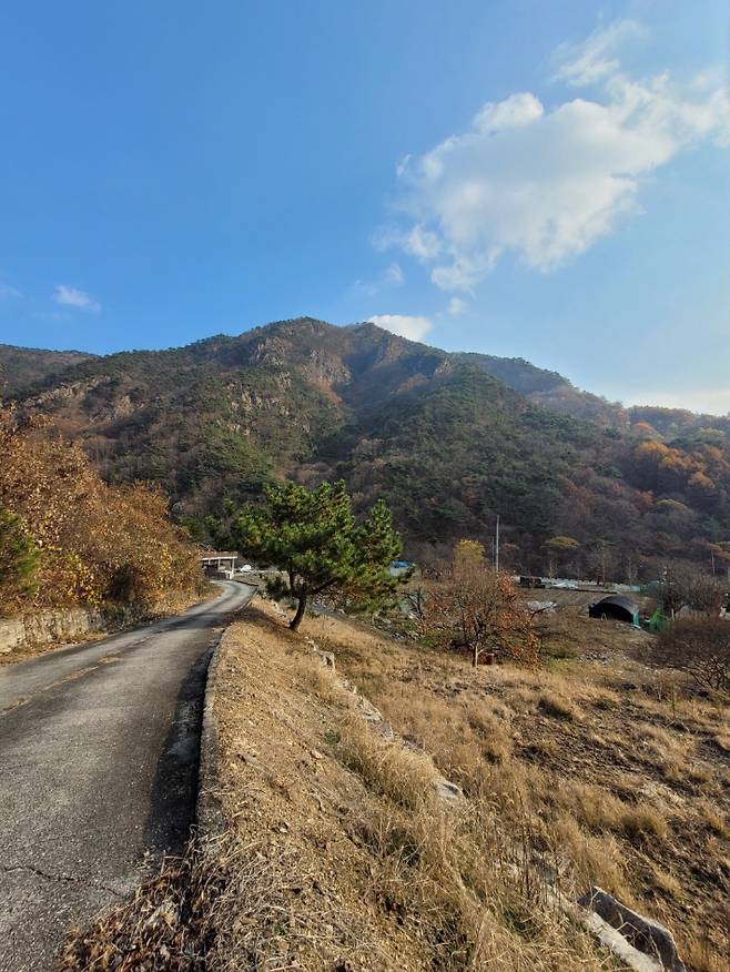 종점으로 내려오는 길. 조경아 해설사 제공