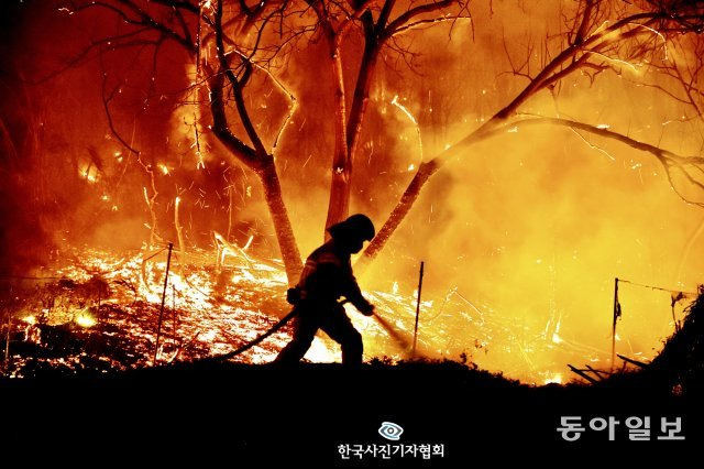 <사건사고 뉴스> 213시간만에 진화돼 역대 산불 중 가장 오래 타오른 것으로 기록된 경북 울진 산불은 3월 초 시작됐다.  북면 고목1리에서 소방관이 야간 진화 작업을 하고는 모습 / 이현덕 영남일보 기자