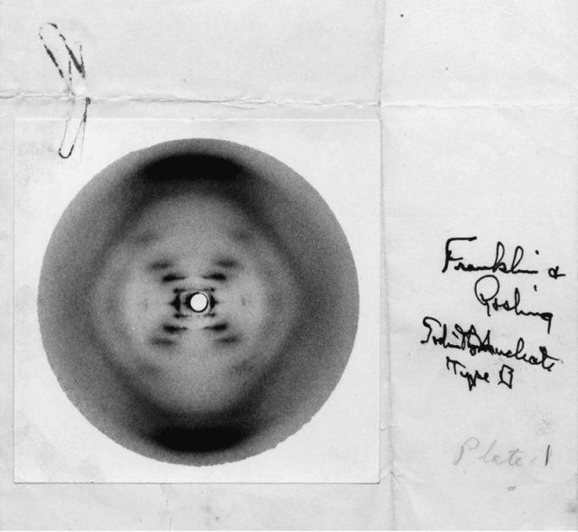 로잘린드 프랭클린이 찍은 ‘51번 X선 회절 사진’. 늘봄 제공