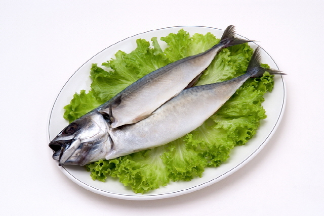 고등어, 연어, 정어리, 송어 등 지방이 많은 생선은 오메가3 지방산이 풍부해 관절염 항염증 효과가 있다./사진=게티이미지뱅크