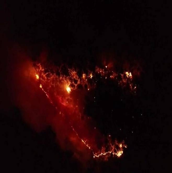 포항 기계면 산불(사진= 경북소방본부)